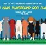 Sunday: Reopening of the Walter Haas dog play area