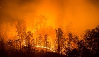 Sept. 8: Supervisor Mandelman hosts meeting on fire mitigation and evacuation planning