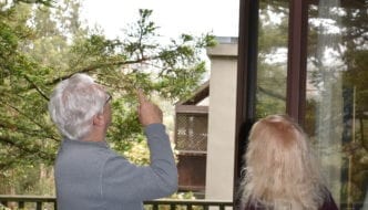 The call of the white-breasted nuthatch across Glen Canyon