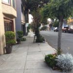 Tree trimming trials and tribulations