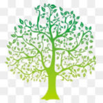 More about the SF tree maintenance program: A personal story