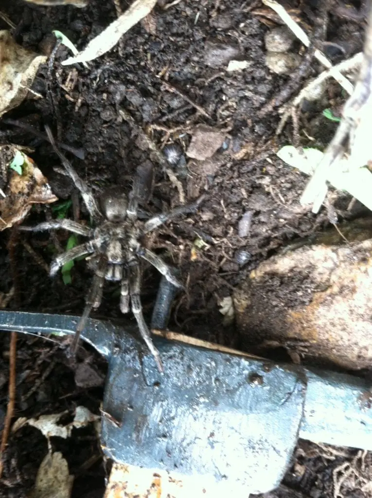 Photo1