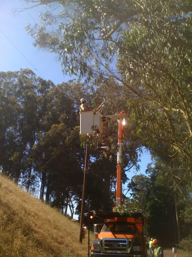 photo-3