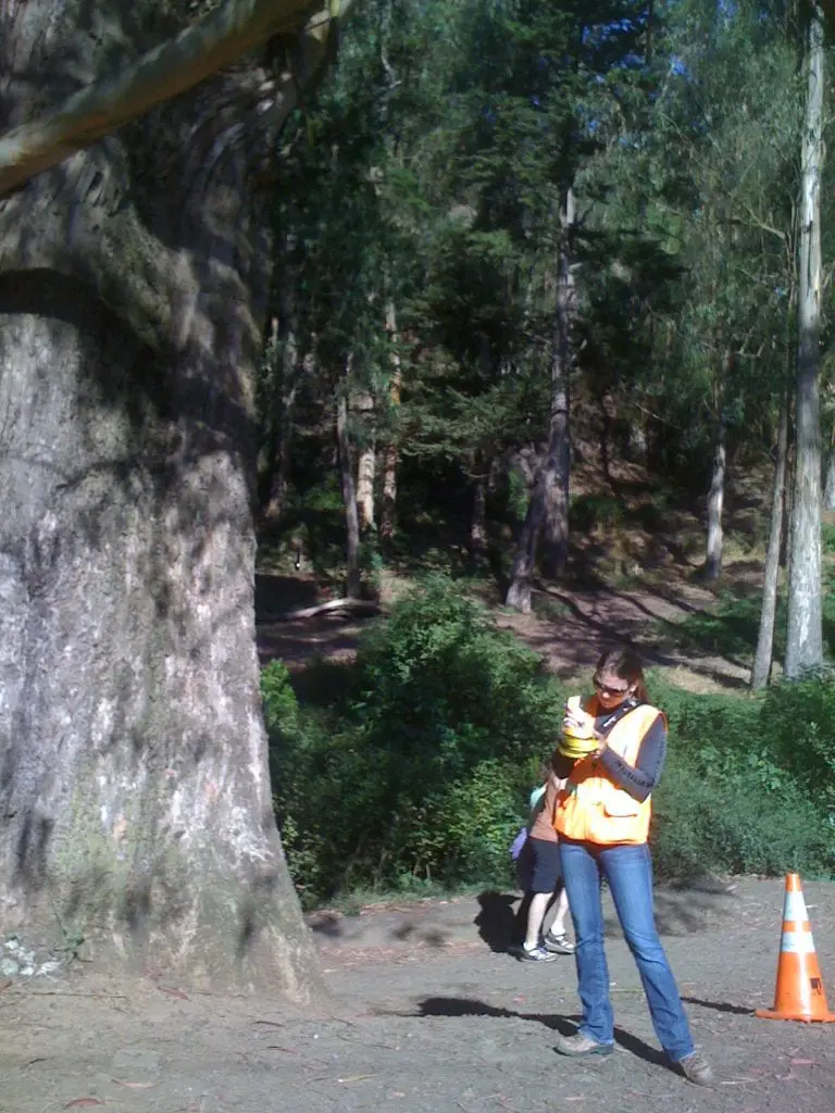 photo-4