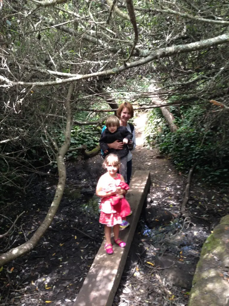 A mother and her two children walking across a board that straddles Islais Creek run off along the Willow Loop Trail. This board will be replaced by a state-of-the-art creek boardwalk crossing made with pressure treated wood during the 15 months of Glen Canyon trail improvements.