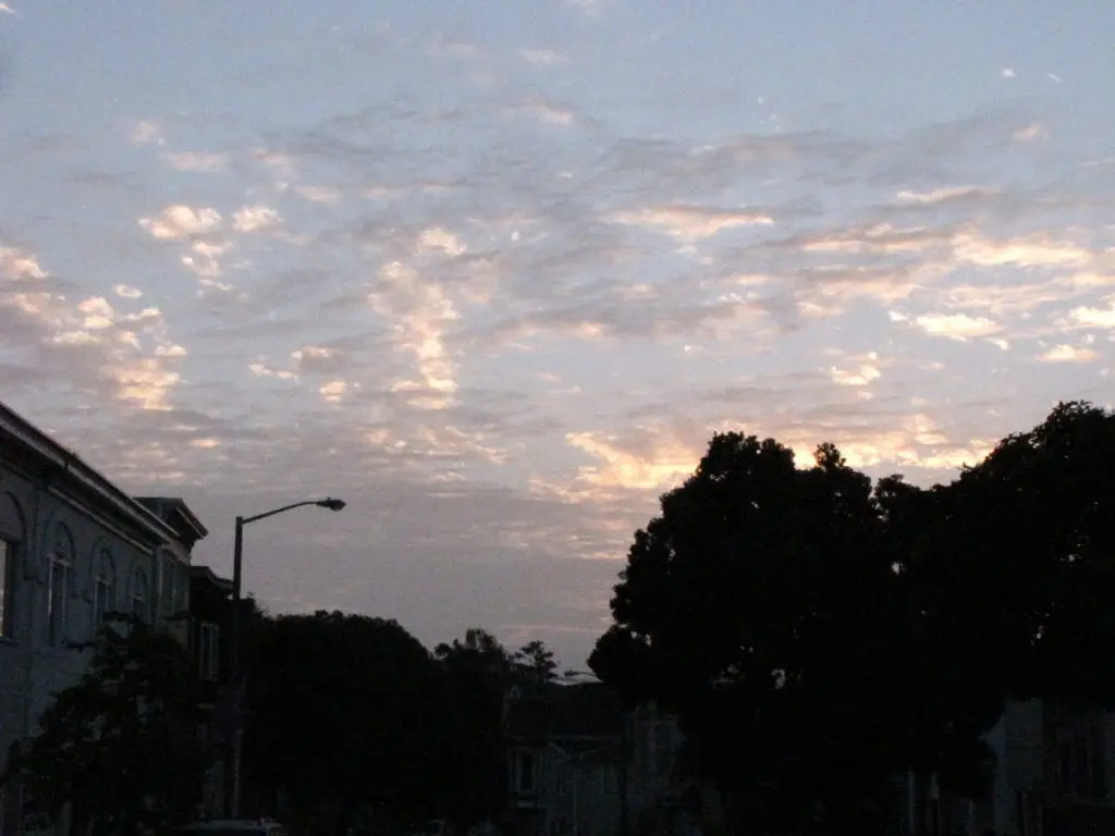 Glen Park, 7:55 a.m. January 24, 2014. Photo by Elizabeth Weise