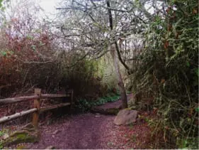 trail