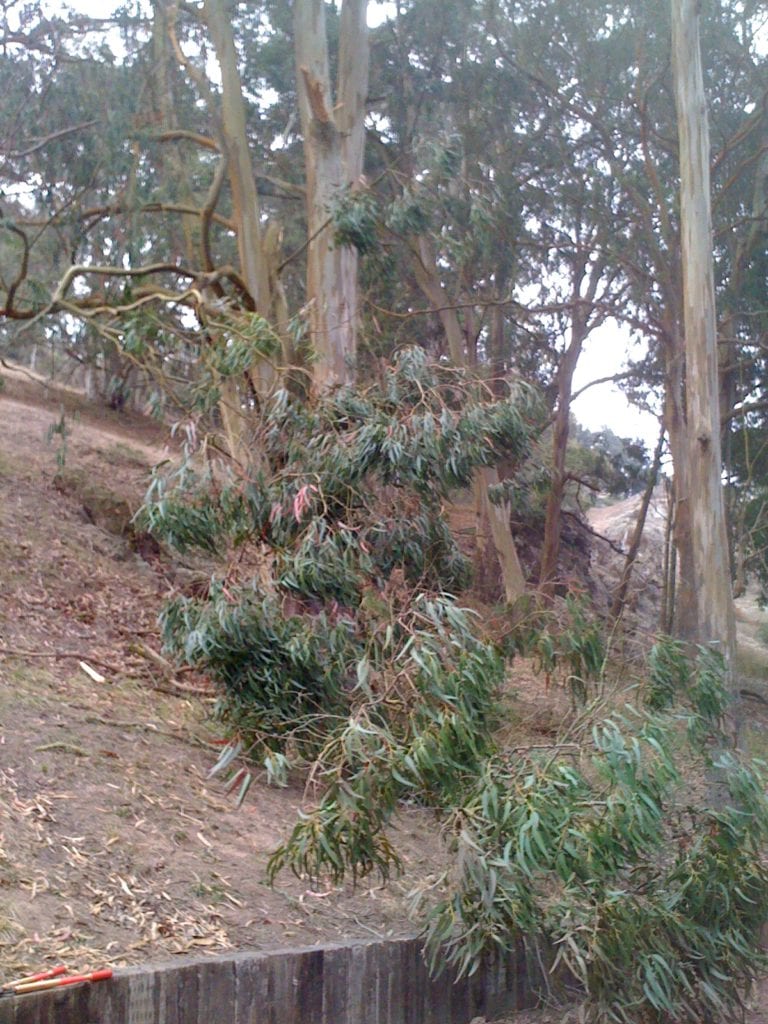 photo-1
