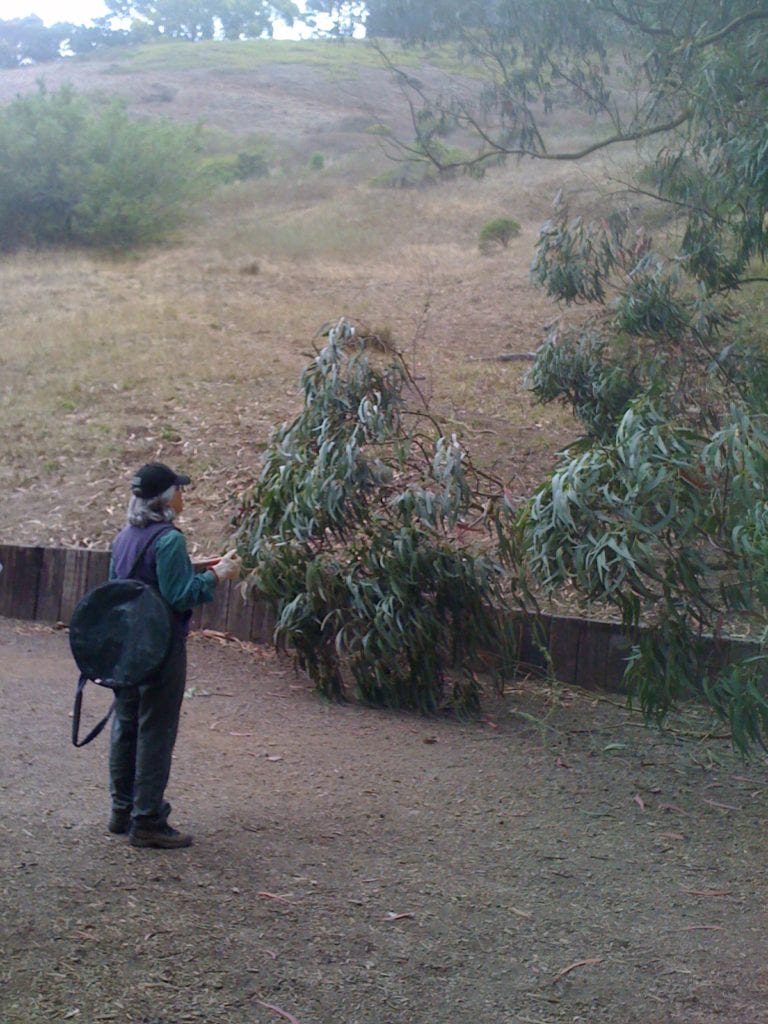 photo-3