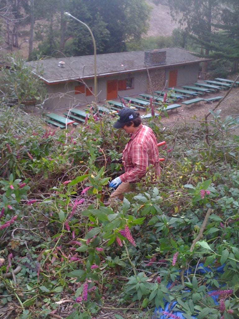 photo-4