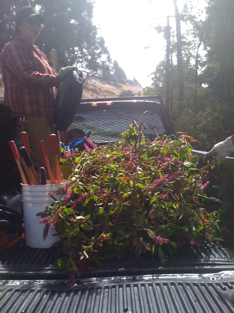 photo-5