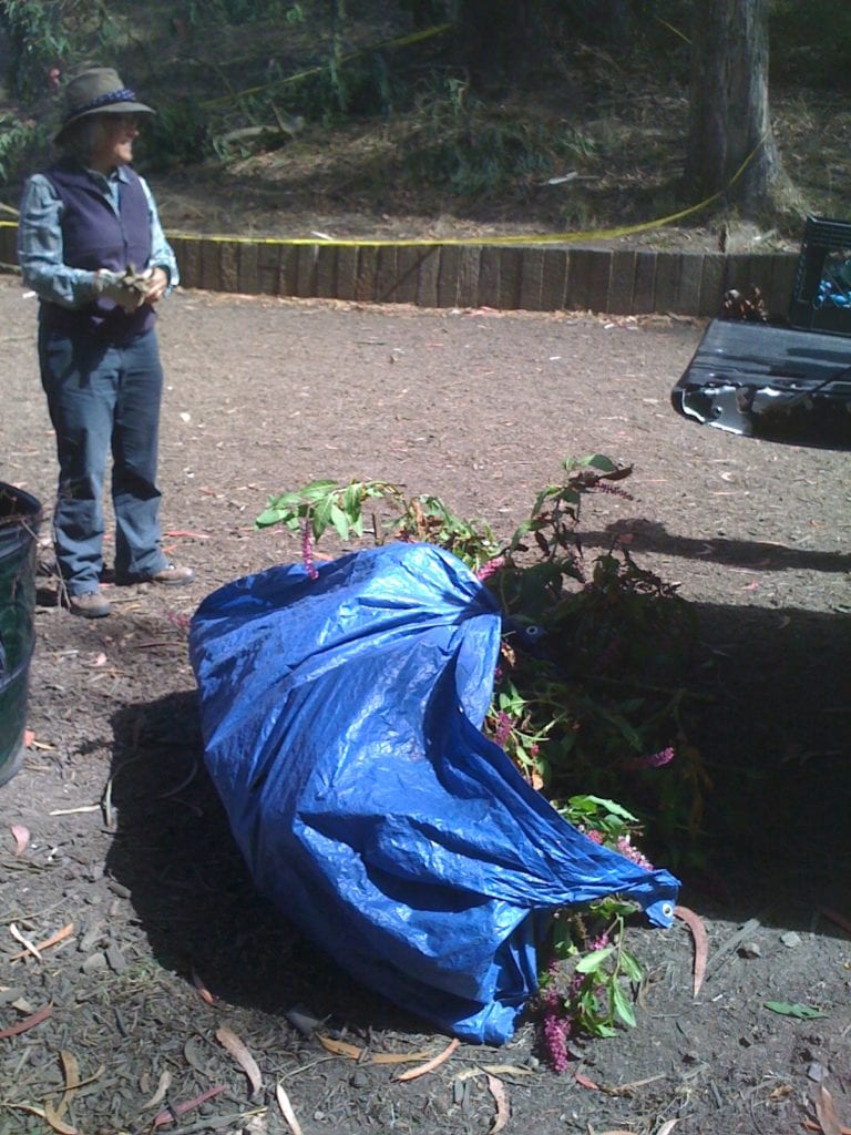 photo-6