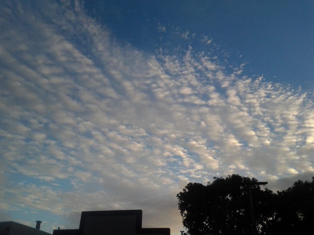 Dusk in Glen Park. Dec. 17, 2012. Photo by Michael Rice.