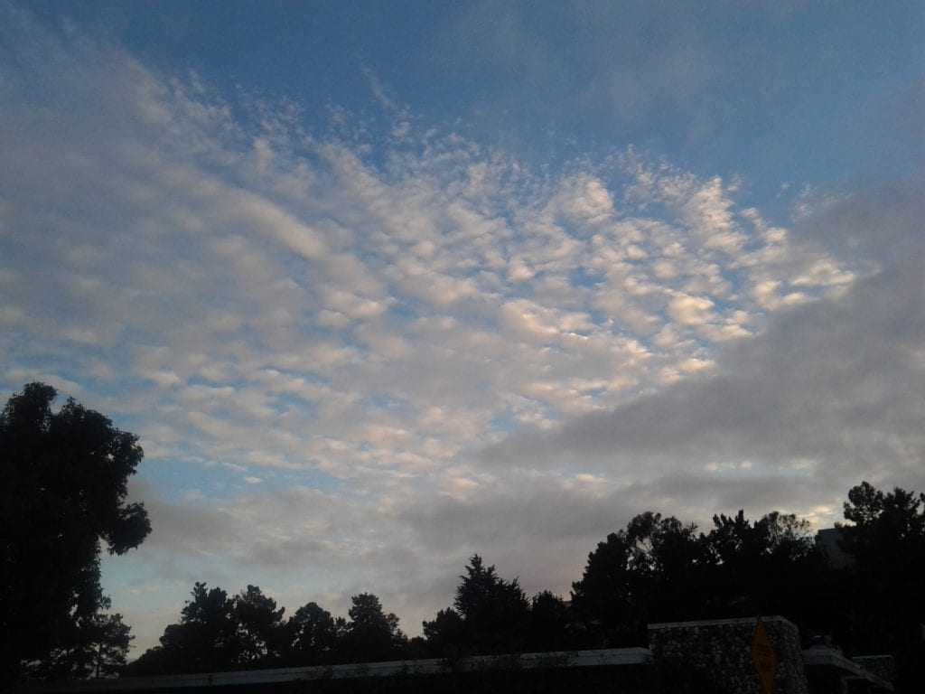 Dusk in Glen Park. Dec. 17, 2012. Photo by Michael Rice.