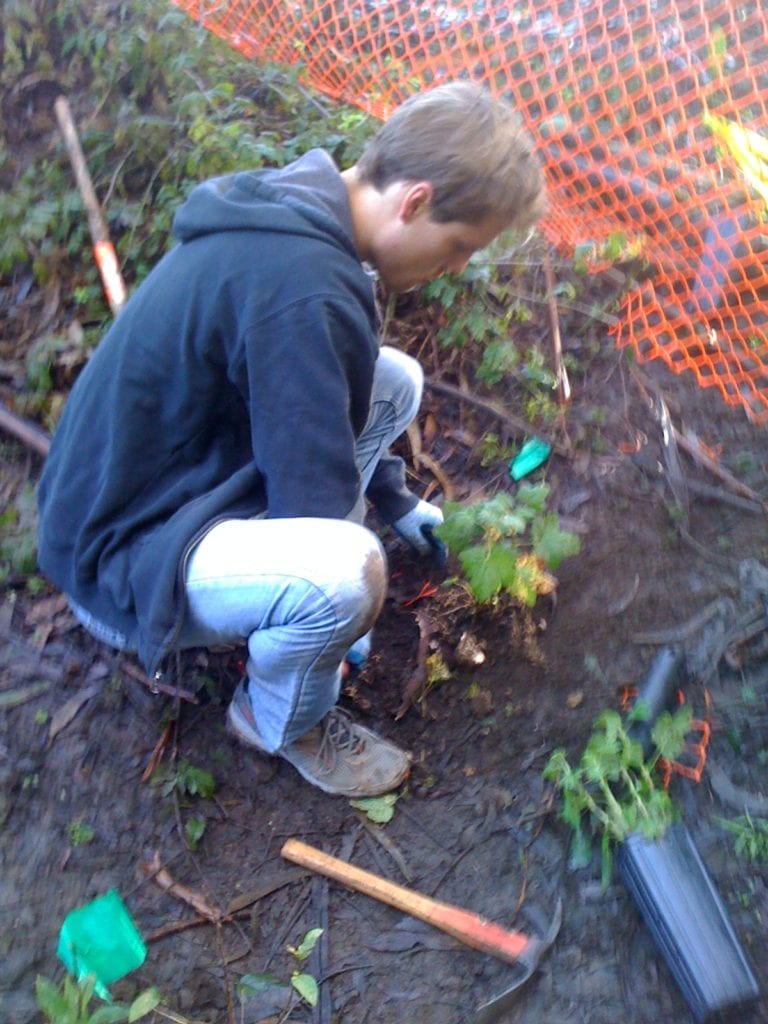 First-time Friends of Glen Canyon Park volunteer Zack Clark planting California native plants along Islais Creek on December 12, 2012.