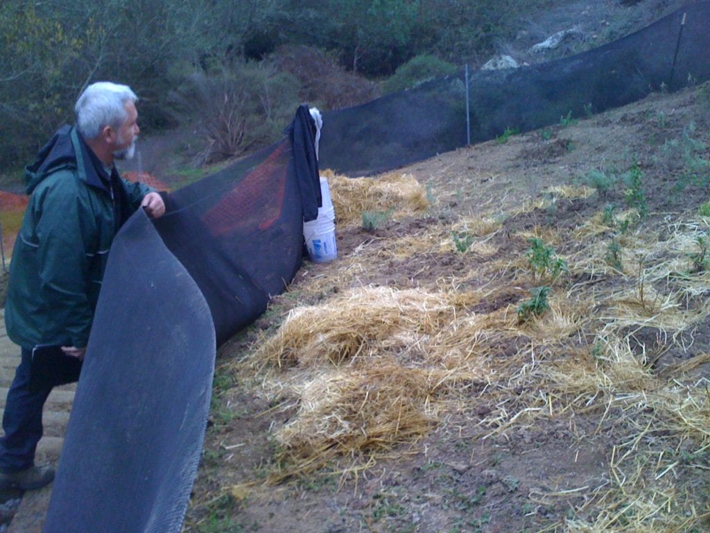 Natural Areas Program manager, Christopher Campbell, inspecting straw placed on beds of California native plants. The straw is designed to keep in moisture after rains and to suppress weeds.