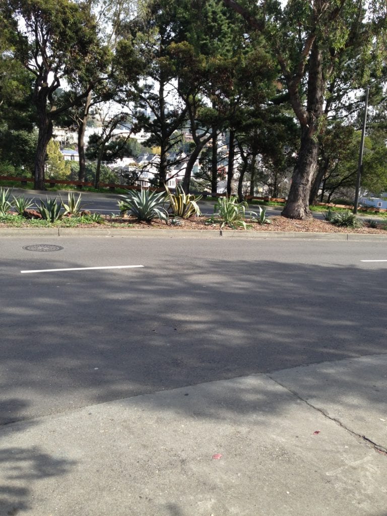 The Bosworth Garden meridian on Bosworth street between Chilton and Burnside.