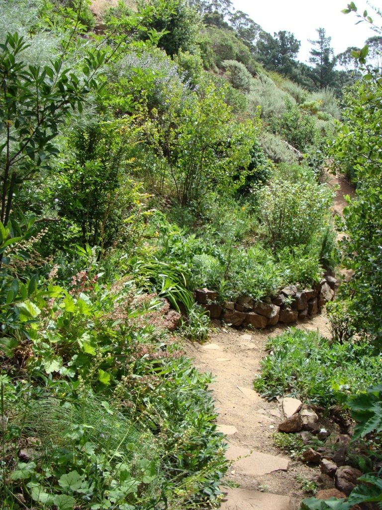 Lush hillside garden at 34 Valletta. Photo by Margo Bors.