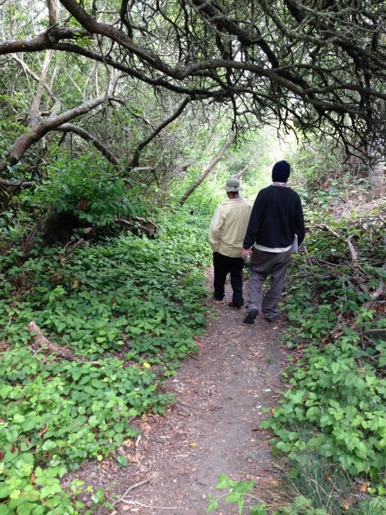 Academy of Arts and Science and School of the Arts students have spent several years making a trail on SFUSD property that leads directly to Glen Canyon. Pictured here are Tom Dallman, an Academy biology teacher, and Davin Wentworth-Thrasher walking along the trail, which was riddled with invasive Himalayan blackberry before students began their project.