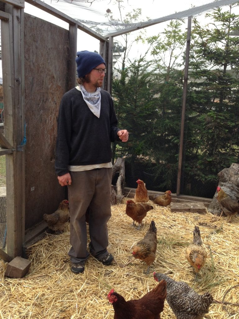 Davin Wentworth-Thrasher, ECOSF volunteer, checks out the chickens in the Academy of Arts and Science coop.