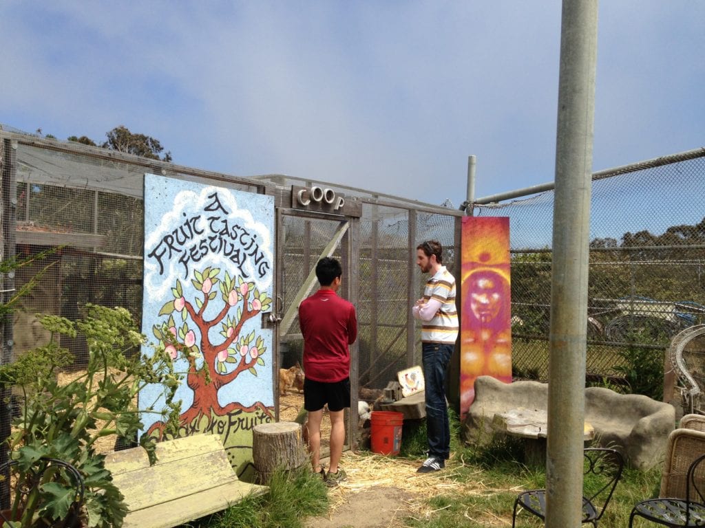 Supervisor Scott Wiener visiting with ECOSF volunteer Marcus Wong. Wong is seen explaining the student farm chicken coop.