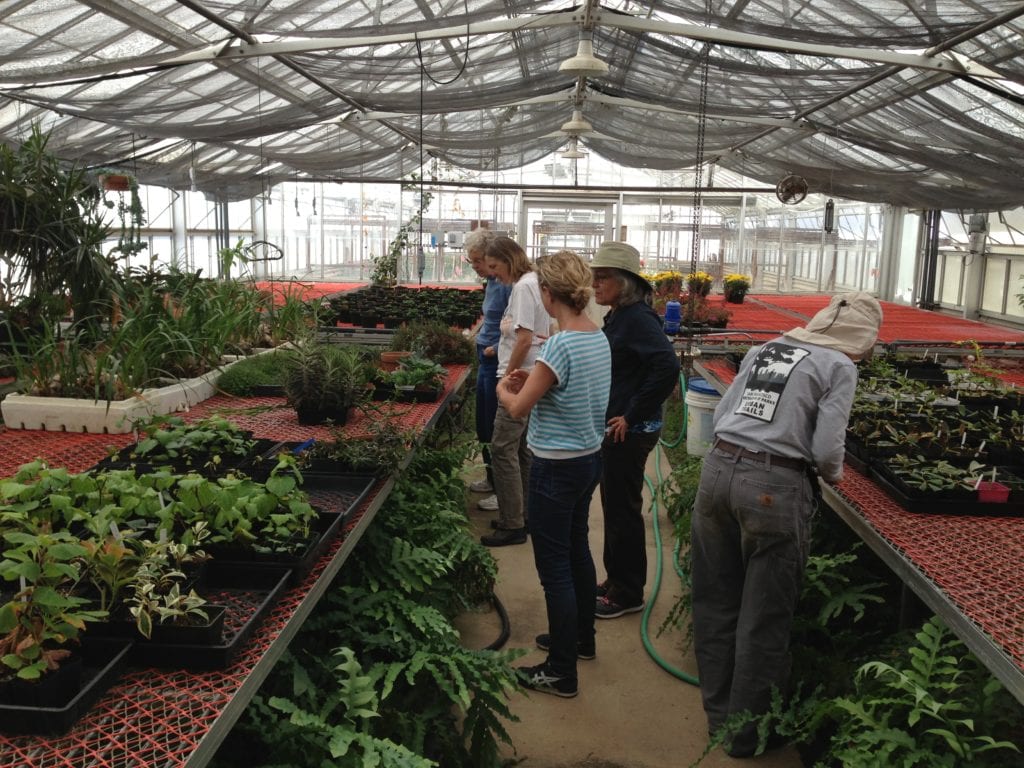 Friends of Glen Canyon Park volunteers taking a respite from their work and taking a short and guided tour of greenhouse nursery.