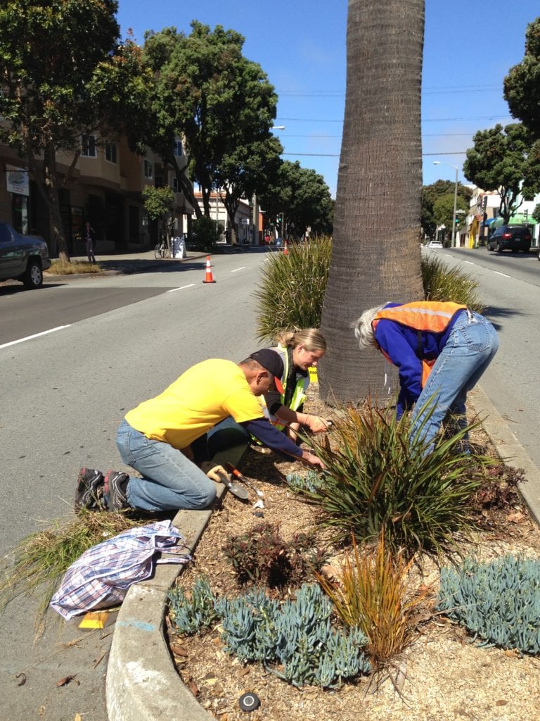 Supervisor Norman Yee, volunteers Mandy Hicks and Sally Ross pick weeds along Monterey Boulevard on July 13, 2013.