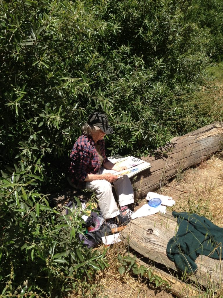 Margaret McGee, nearly hidden by willow branches, sketches a scene in Glen Canyon on June 13, 2013. Photo by Murray Schneider.