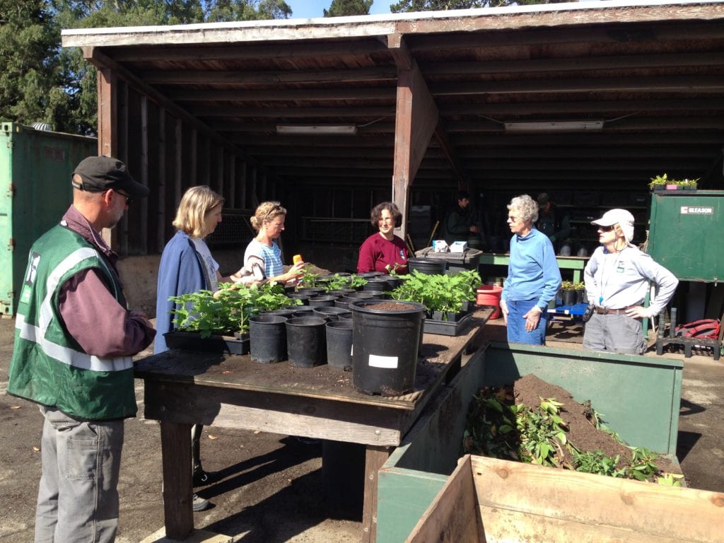 Park and Rec gardeners Randy Zebell (in green vest) and Licia De Meo (in red T-shirt) offer tutorial to Friends of Glen Canyon volunteers Kay Westerberg, Jean Conner and Mary Huizinga.  Notice large black container of back soil on the work table.