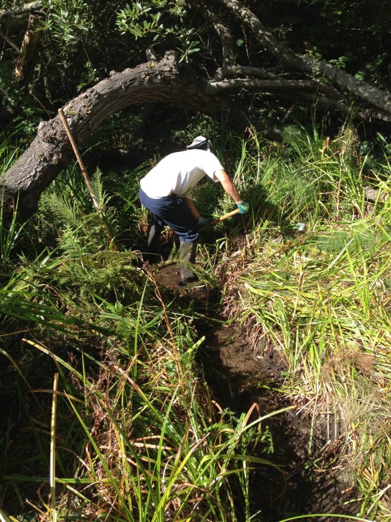 Steve Uchida clearing Islais Creek of bulrush.
