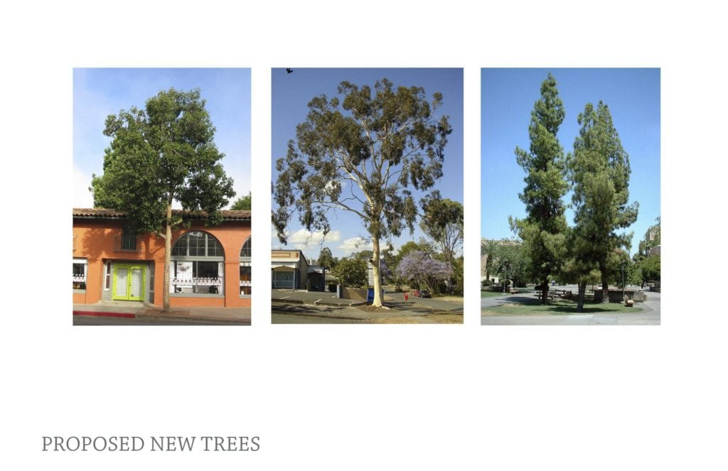 Proposed Trees.
