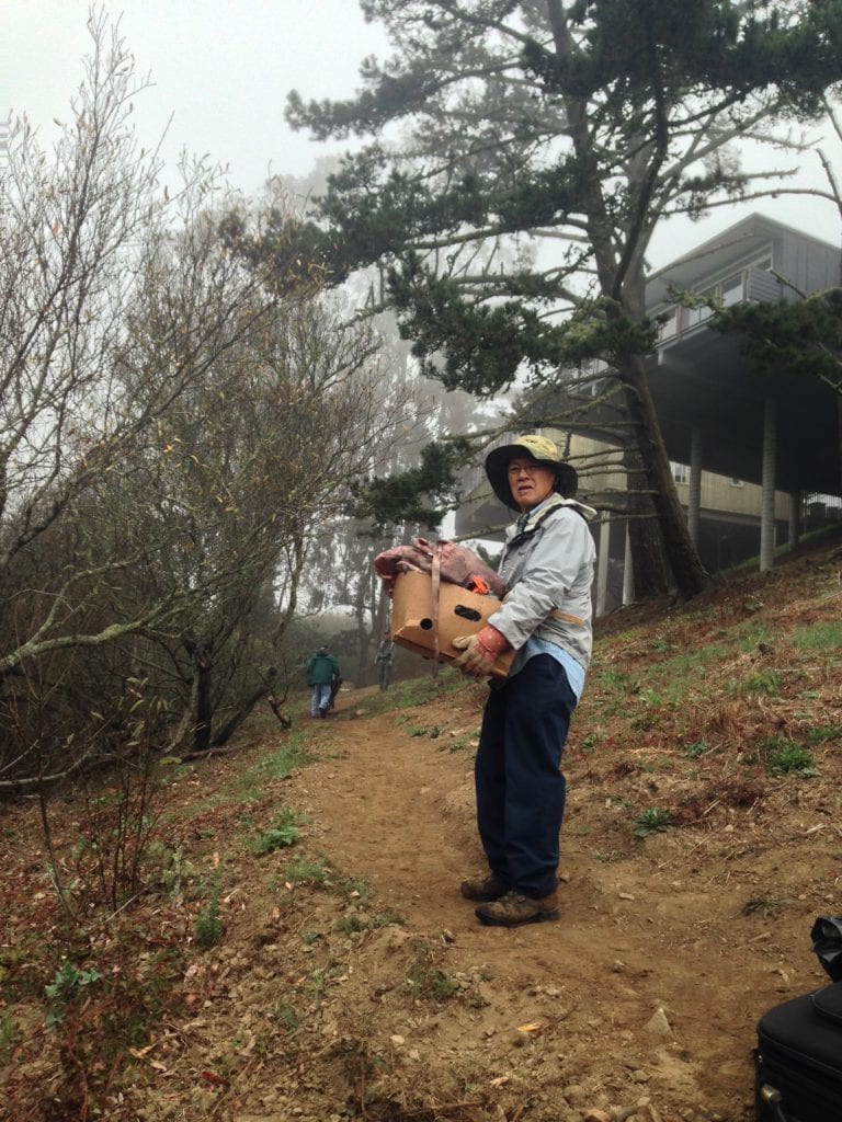 Friends of Glen Canyon Park, Steve Uchida holding a carton of homeless possessions while another volunteer, Jim Hanratty, wheels a barrow of debris along a canyon trail leading to the Diamond Heights Turquoise Way steps.