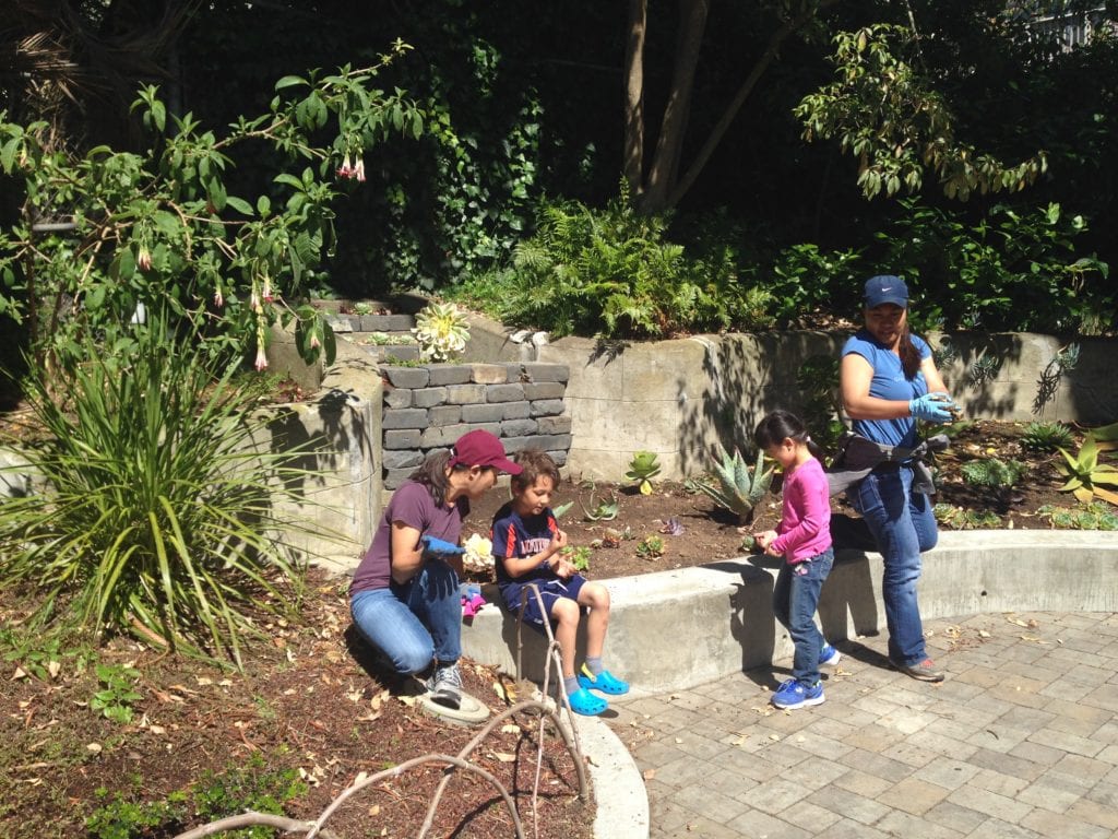 Five-year old Cameron inspecting a bug he found while his mother volunteered at the Sunnyside Conservatory.