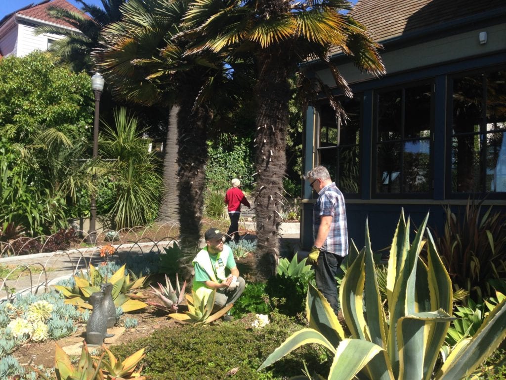 Rec and Parks gardener Jason Mueller and Friends of Sunnyside Conservatory volunteer John Priola discussing succulents. 
