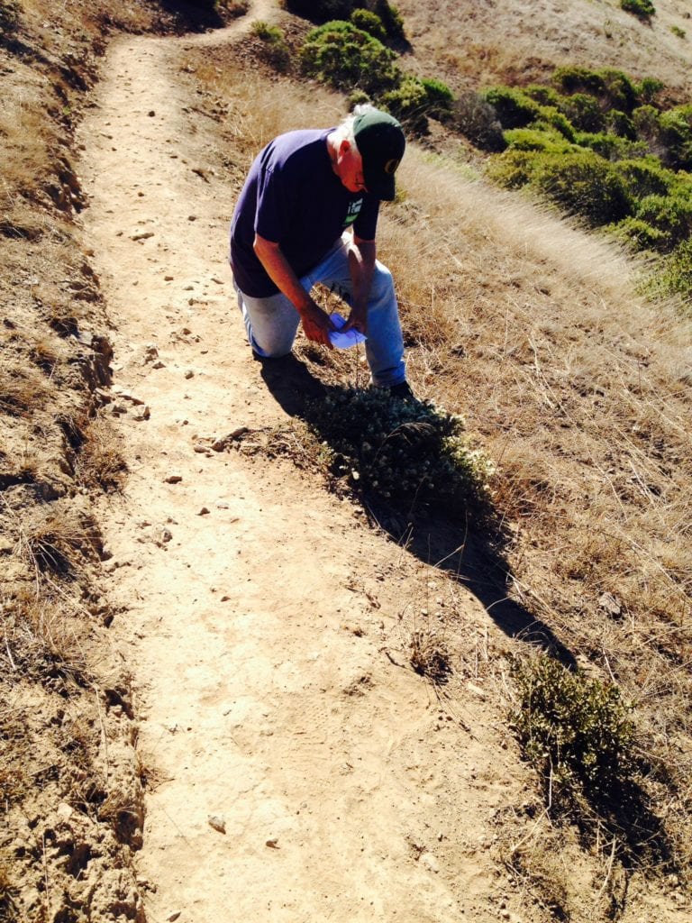 Jim Hanratty collecting seeds high atop eastern slope in Glen Canyon.