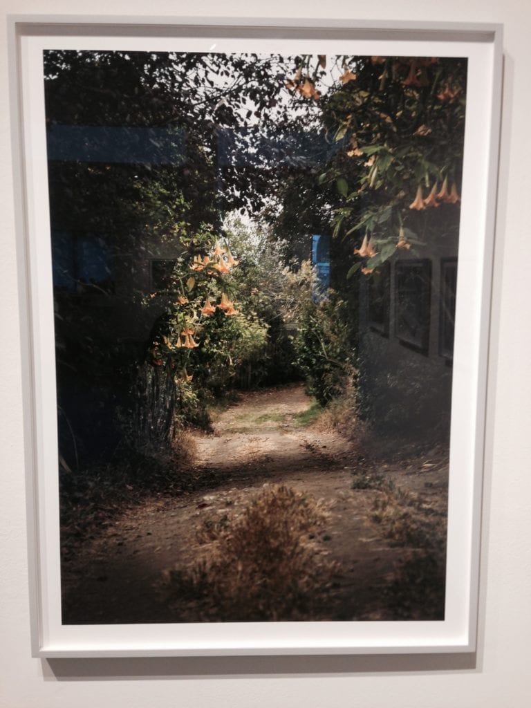 "Alley" John Priola - 2014