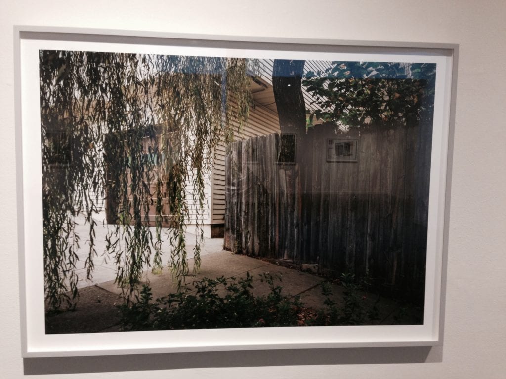 "Willow" John Priola - 2014