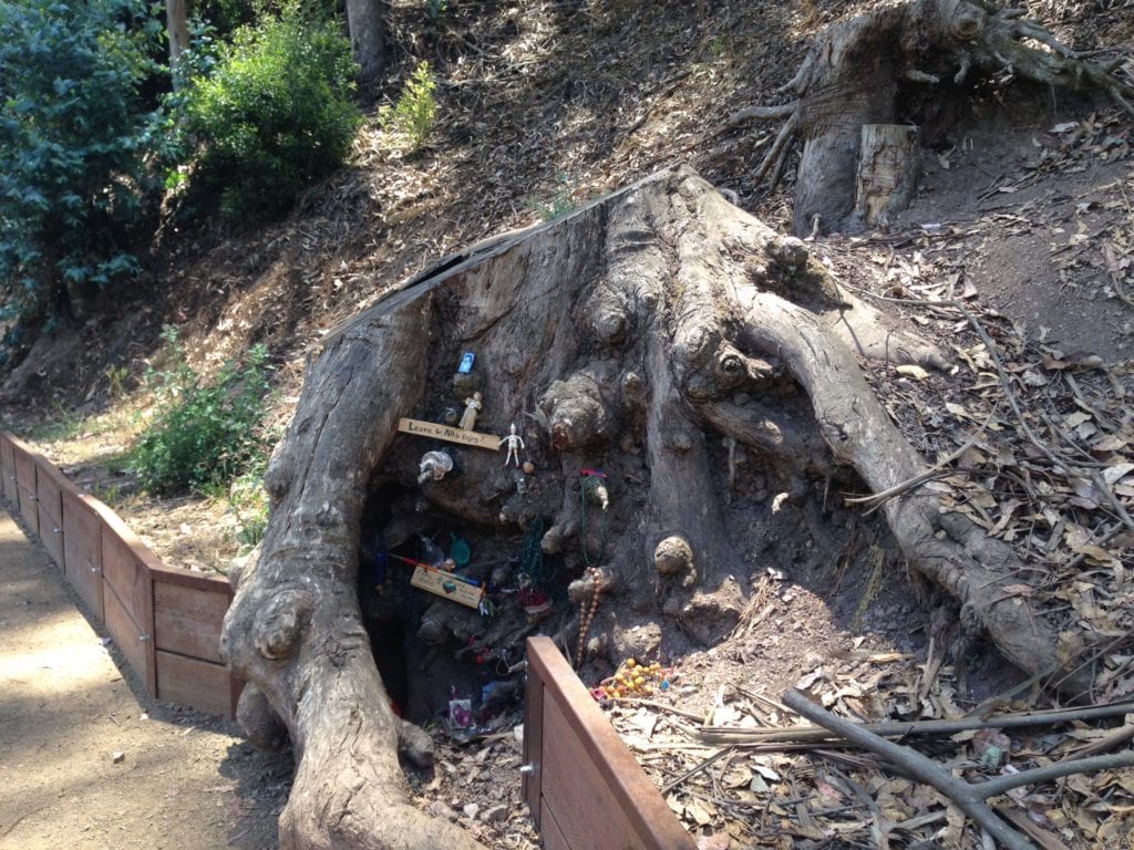 A eucalyptus tree trunk along Glen Canyon's Banana Slug Way is now home to elves, gnomes and fairies.