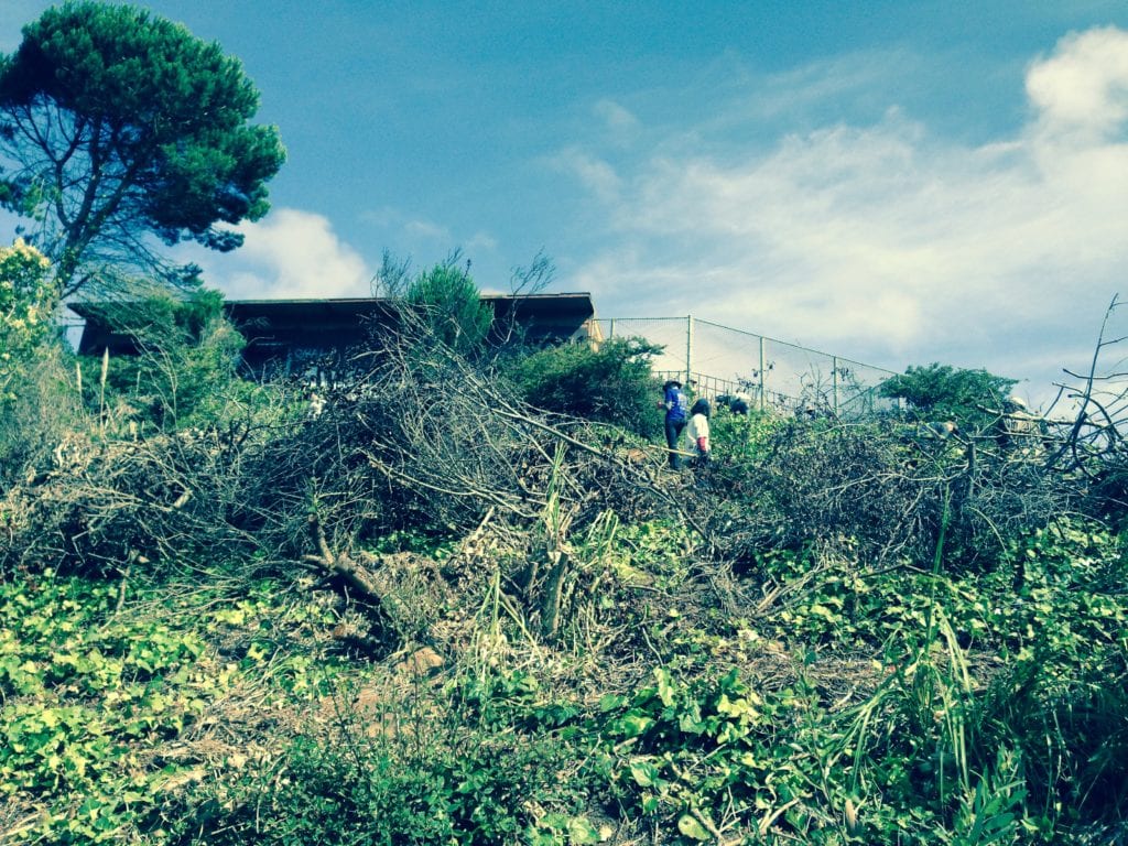 Last segment of Creeks to Peaks trail before V-O-Cal volunteers cleared it for a trail that ends at Portola and Glenview Drives. Photo taken July 18, 2015