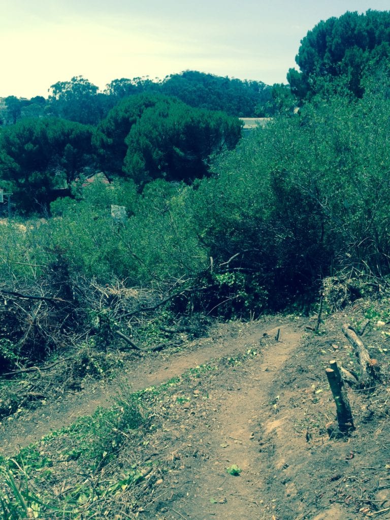 One of three switchbacks on the last segment of Creeks to Peaks Trail.