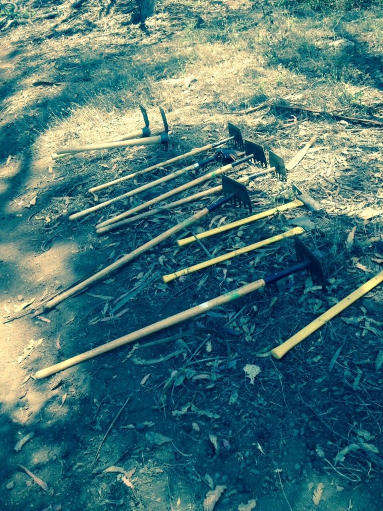 Forest Service tools - Pulaski axe and McLeod hoe used by V-O-Cal volunteers to widen Coyote Crags Trail. Photo taken July 19, 2015