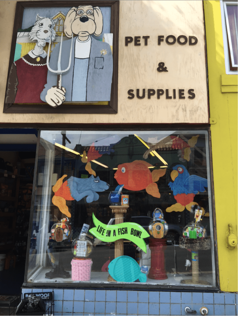 The window display at Critter Fritters. August 2015