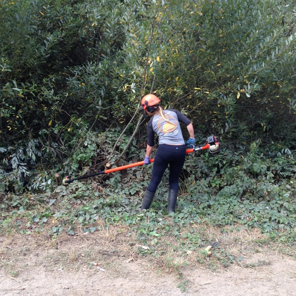 Using power saw, Rec and Park gardener, Jenny Sotelo, cutting thick willow limbs along Alms Road.