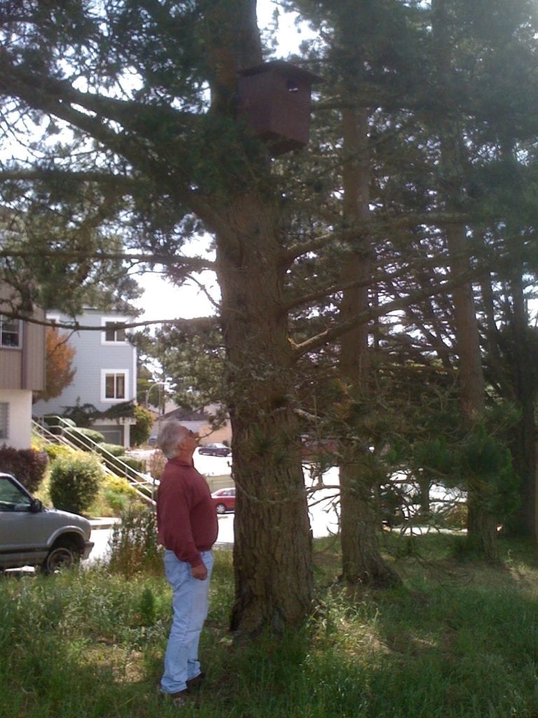 Craib barn owl box