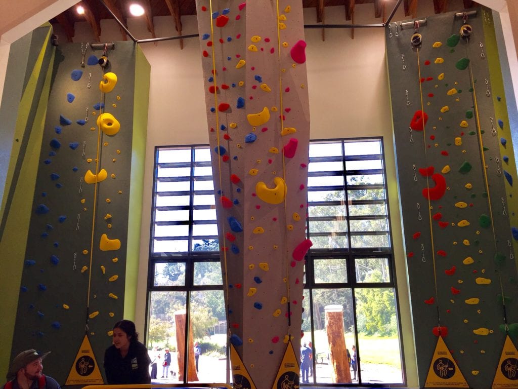 Climbing Walls Closeup