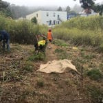 Glen Park Greenway Cleanup!