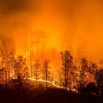 Summer Brings New Concern about Fire in the Canyon – Here’s What You Can Do