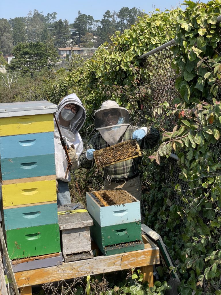 Beginning Beekeeper's Mentorship Bundle, New Beekeepers Lessons