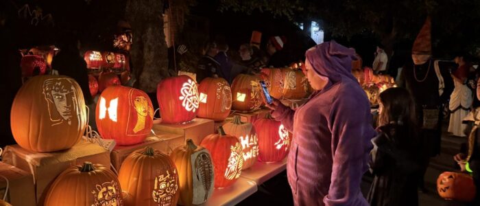 Vella Pumpkins 2025