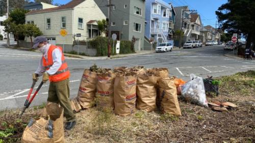 Natick cleanup